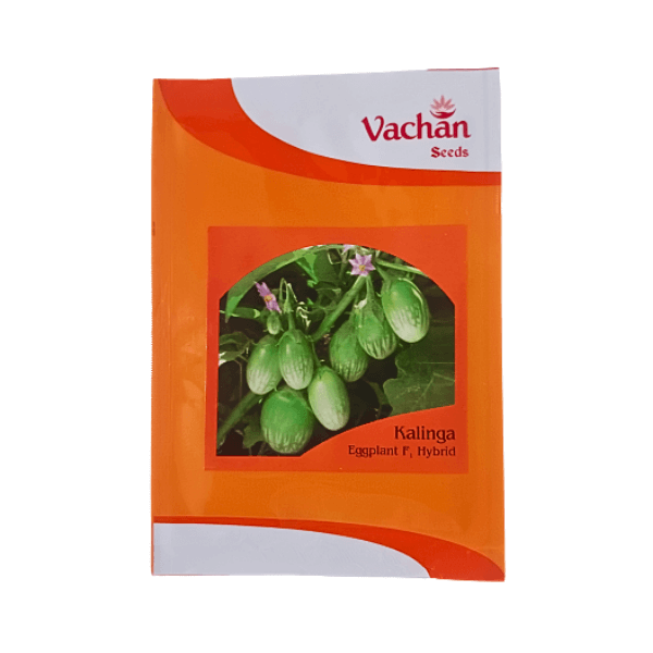 Vachan Kalinga F1 Hybrid Brinjal Vegetable Seeds