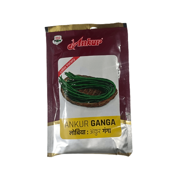 Ankur Ganga Lobia Cowpea Organic Vegetable Seeds Plant