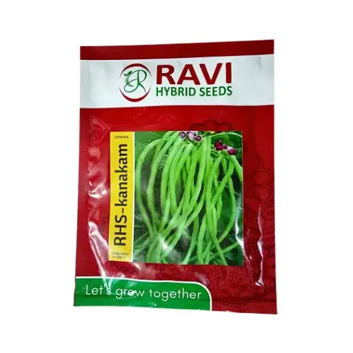 Ravi RHS-Kanakam Cowpea Seeds 100 gm Vegetable Online India