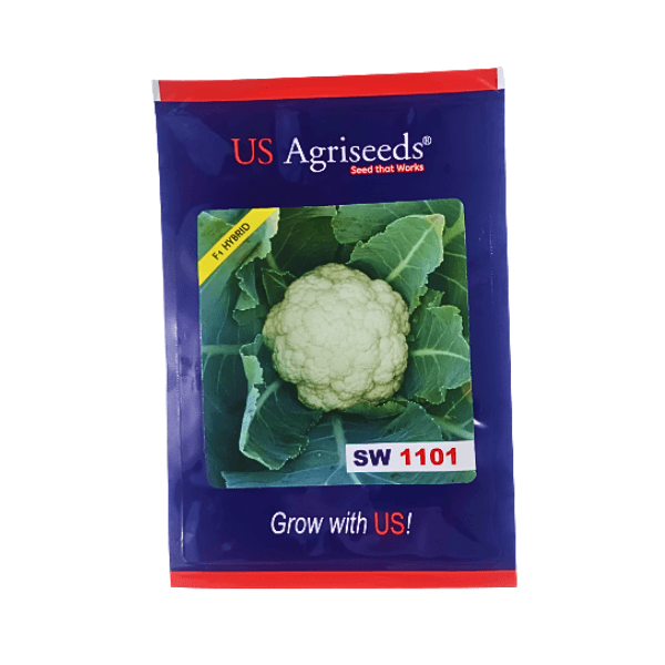 US Agriseeds SW 1101 F1 Hybrid Cauliflower Vegetable Seeds