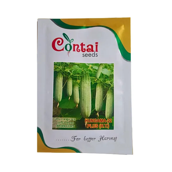 Contai Hungama 22 Plus Hi-Yield Cucumber Seeds