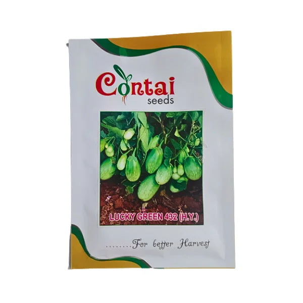 Contai Lucky Green 432 Hi-Yield Brinjal Seeds