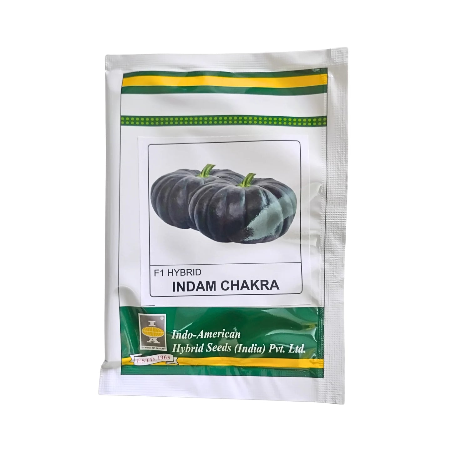 Indo-American Hybrid Indam Chakra' F1 Hybrid pumpkin seeds