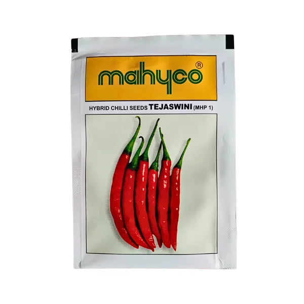 Mahyco Hybrid Chilli Seeds Tejswini Mhp1