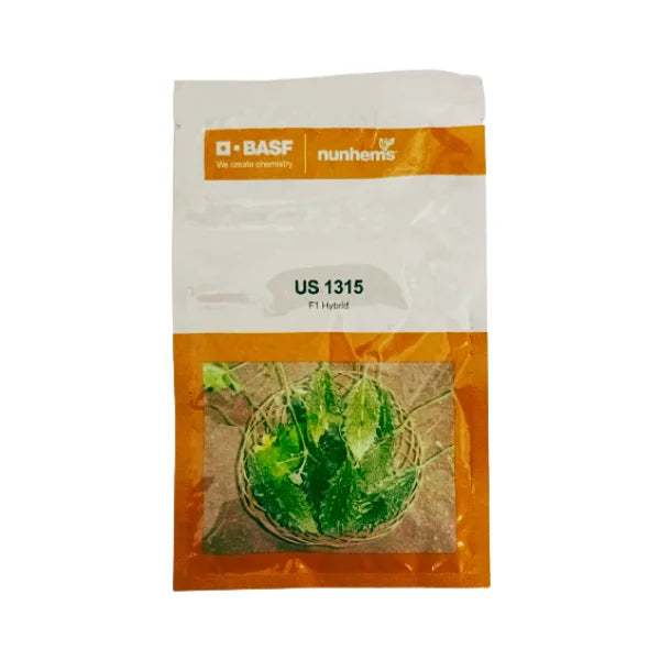 Nunhems US 1315 F1 Hybrid Bitter Gourd Seeds