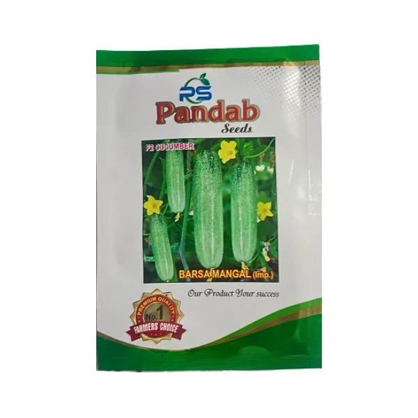 Pandab Barsa Mangal Improved F2 Cucumber Seeds