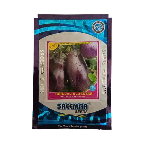 Sreemaa Brinjal Bluestar Seeds