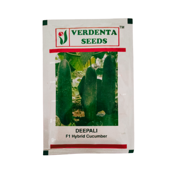 Verdenta F1 Hybrid Cucumber Organic Vegetable Seeds