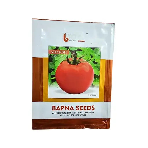 Bapana Adarsh BSHT-06 F1 Hybrid Tomato 10 gm Organic Vegetable Seeds India