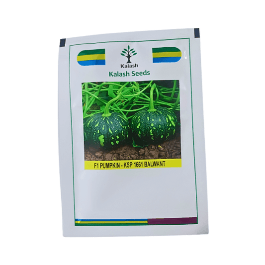 Kalash KSP 1661 Balwant F1 Hybrid Pumpkin Vegetable Seeds