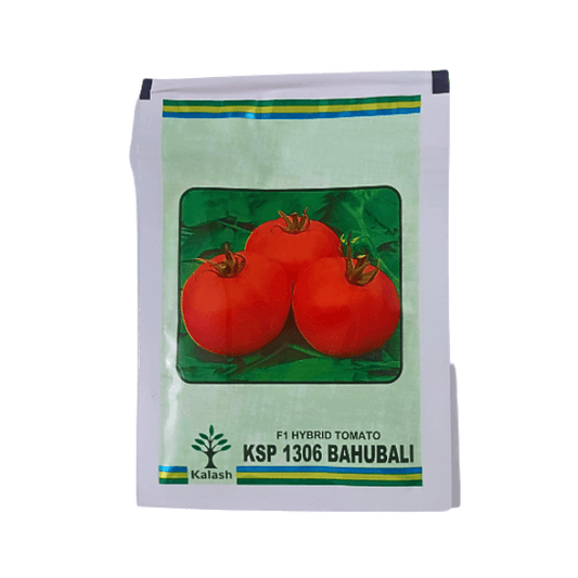 Kalash KSP 1306 Bahubali F1 Hybrid Tomato Seeds Plant Online