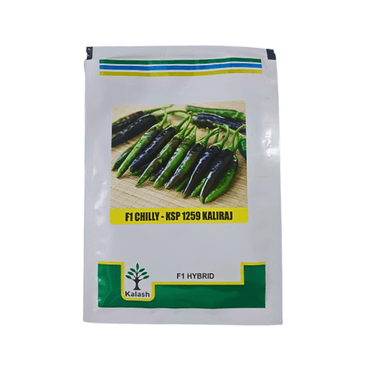 Kalash KSP 1259 Kaliraj F1 Hybrid Chilli Seeds Plant Online