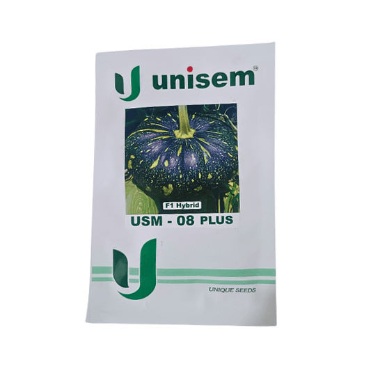 Unisem USM-08 Plus F1 Hybrid Pumpkin Seeds Plant