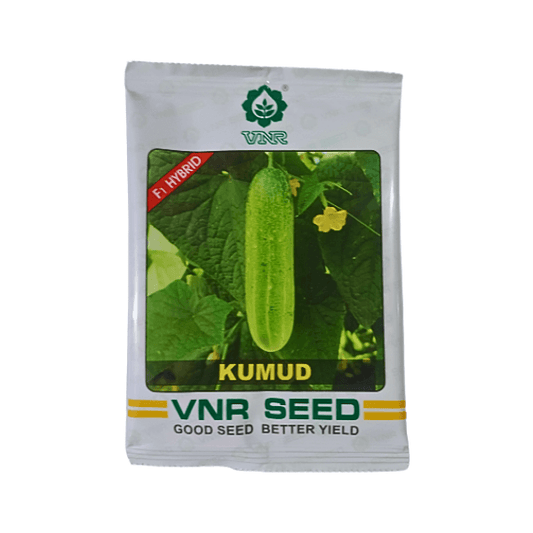 Vnr Kumud F1 Hybrid Cucumber Organic Seeds Plant Online