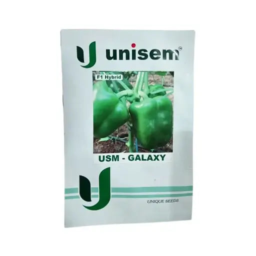 Unisem USM-Galaxy F1 Hybrid Capsicum Vegetable Seeds Online Buy 01 gm