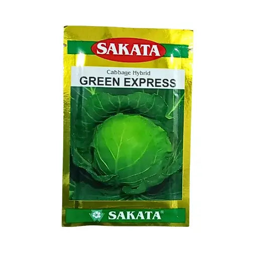 Sakata Green Express Hybrid Cabbage Vegetable Seeds Online Buy 10 gm