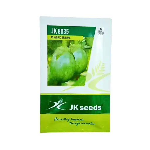 JK 8035 F1 Hybrid Brinjal 10gm organic vegetable seed companies
