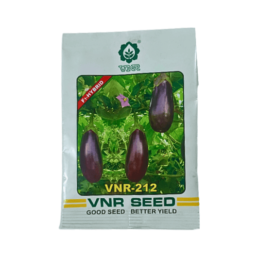VNR 212 F1 Hybrid Brinjal Vegetable Seeds