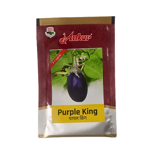 Ankur Purple King F1 Hybrid Brinjal Vegetable Seeds
