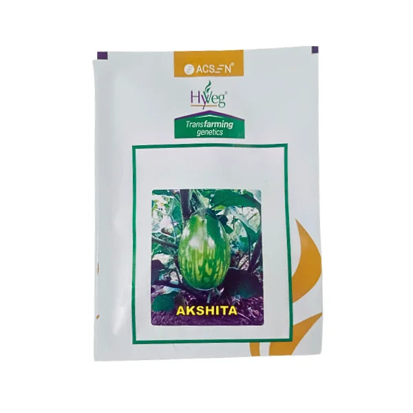 Acsen Hyveg Akshita Hybrid Brinjal Seeds