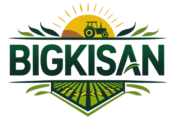 Bigkisan