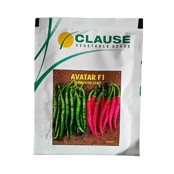 Clause Avatar F1 (HMC520340) Hybrid Chilli Vegetable Seeds