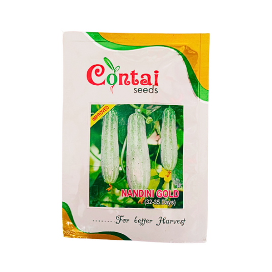Contai Nandini Gold Cucumber Organic Vegetable Seeds