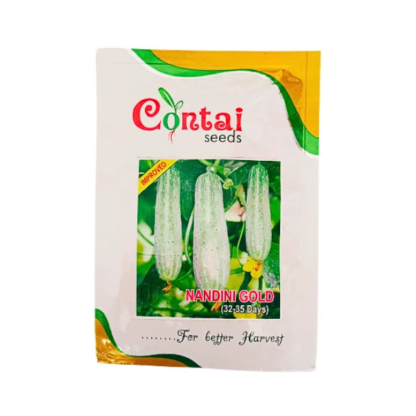 Contai Nandini Gold Cucumber Seeds