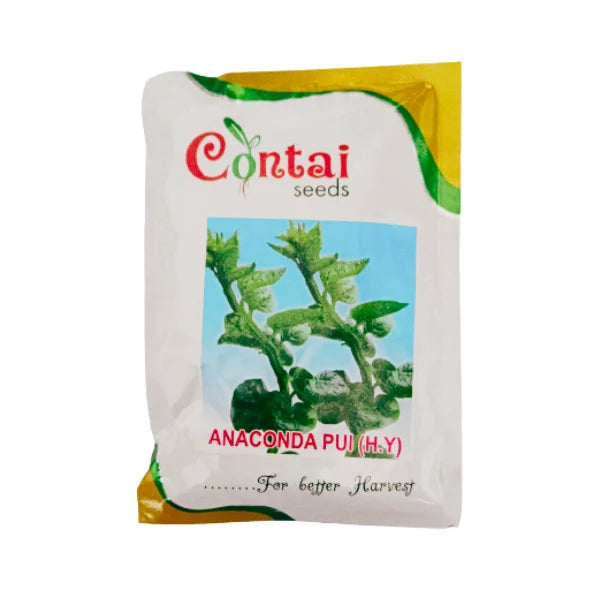 Contai Pui Saag H.Y Organic Vegetable Seeds