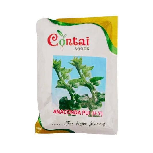 Contai Pui Saag H.Y Organic Vegetable Seeds