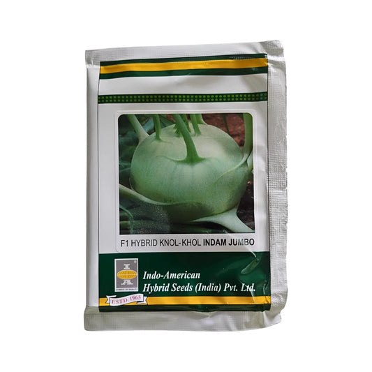 Indam Early White Knol Khol F1 Hybrid Seeds