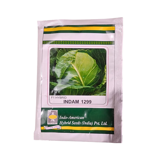 Indo-American Hybrid Seeds F1 Hybrid Indam 1299 Cabbage Seeds
