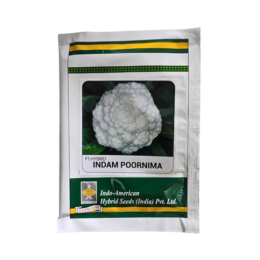 Indo-American Hybrid Seeds F1 Hybrid Indam Poornima Cauliflower Seeds