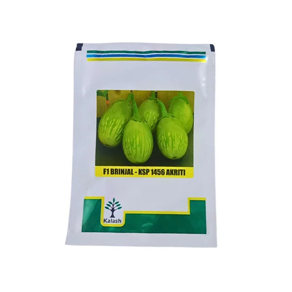 Kalash KSP 1456 Akriti F1 Hybrid Brinjal Vegetable Seeds