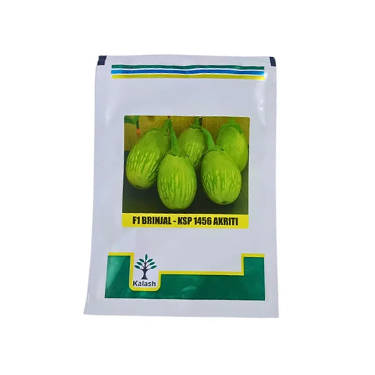 Kalash KSP 1456 Akriti F1 Hybrid Brinjal Vegetable Seeds