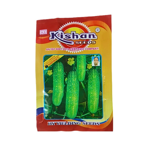 Kishan Nandini High Yielding Cucumber Seeds