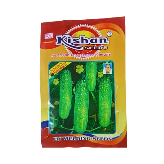 Kishan Nandini High Yielding Cucumber Seeds
