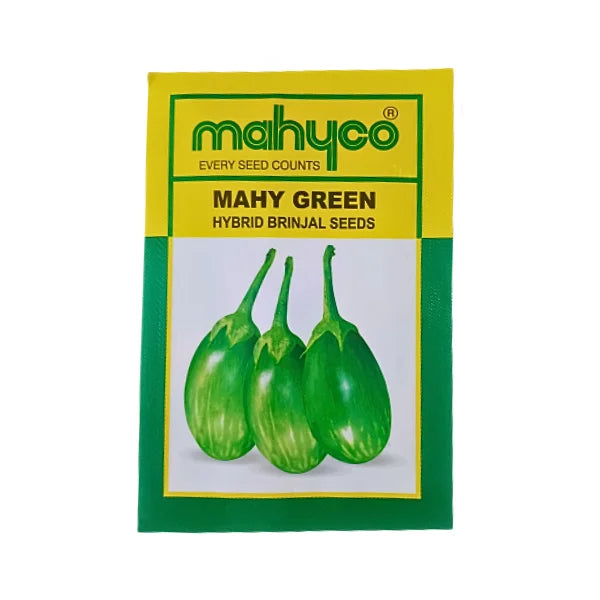 Mahyco Mahy Green Hybrid Brinjal Seeds