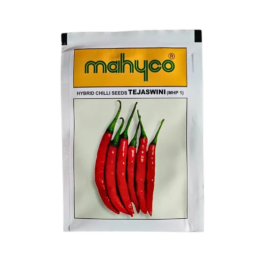 Mahyco Hybrid Chilli Seeds Tejswini Mhp1