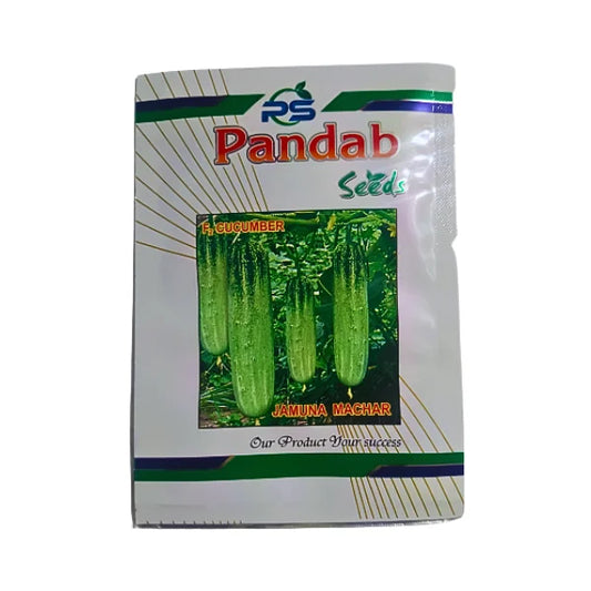 Pandab Jamuna Machar F2 Hybrid Cucumber Seeds