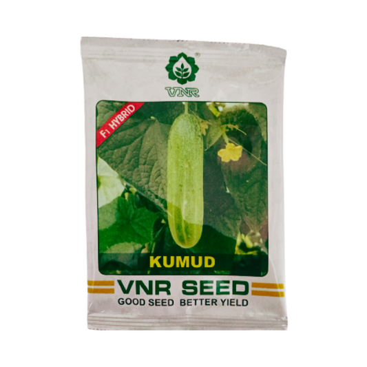 Vnr Kumud F1 Hybrid Cucumber Vegetable Seeds