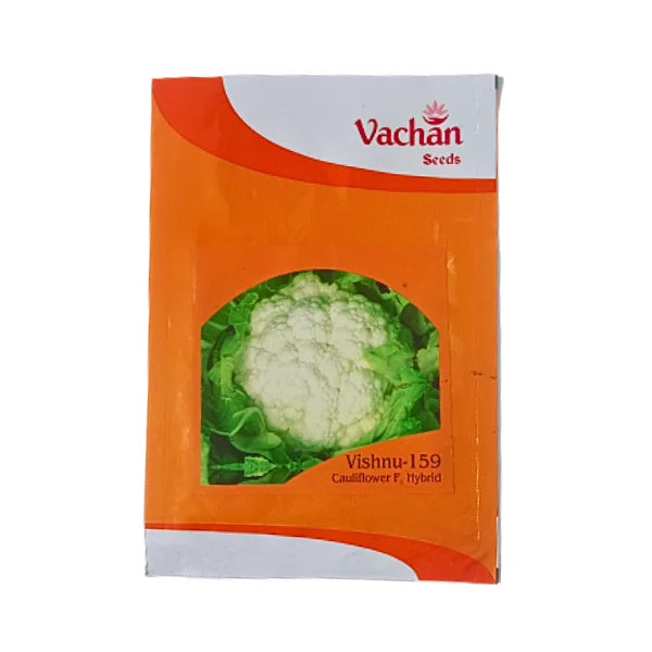 Vachan Vishnu 159 F1 Hybrid Cauliflower Seeds