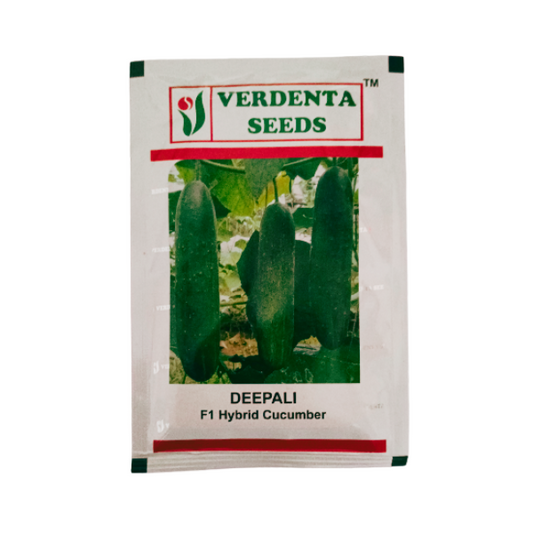 Verdenta F1 Hybrid Cucumber Organic Vegetable Seeds