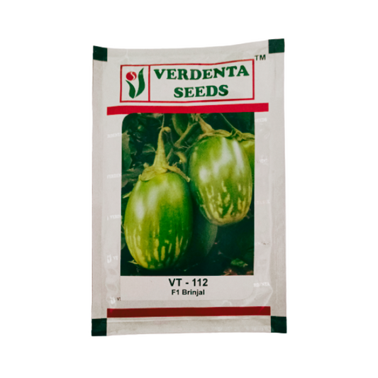 Verdenta VT-112 F1 Brinjal Organic Vegetable Seeds