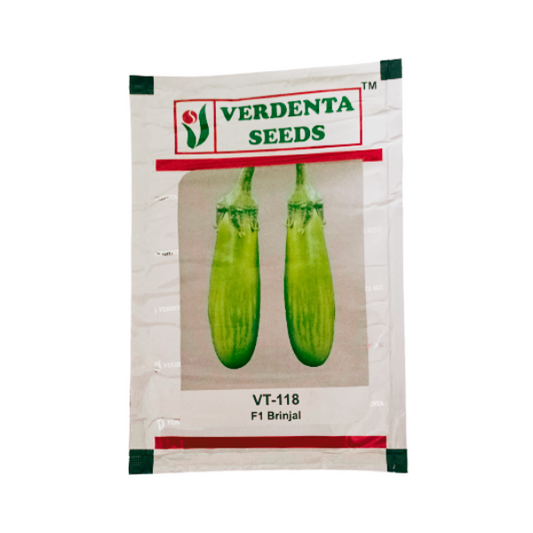 Verdenta VT-118 F1 Brinjal Vegetable Seeds